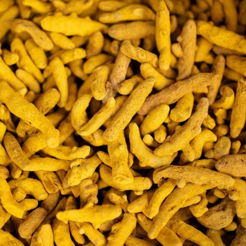 Close-up of whole dried turmeric fingers